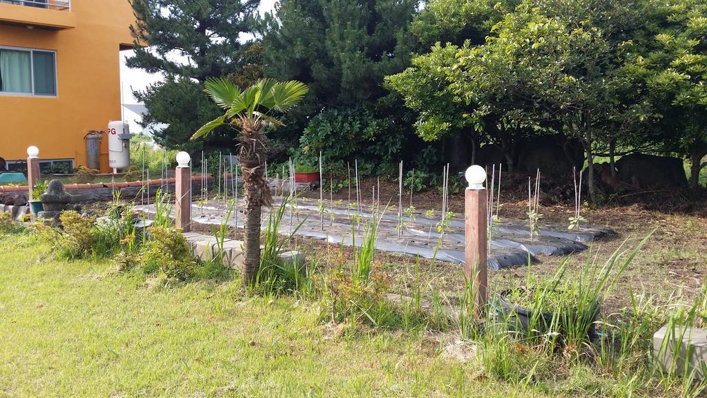 A Pousada Jun House Jeju Exterior foto